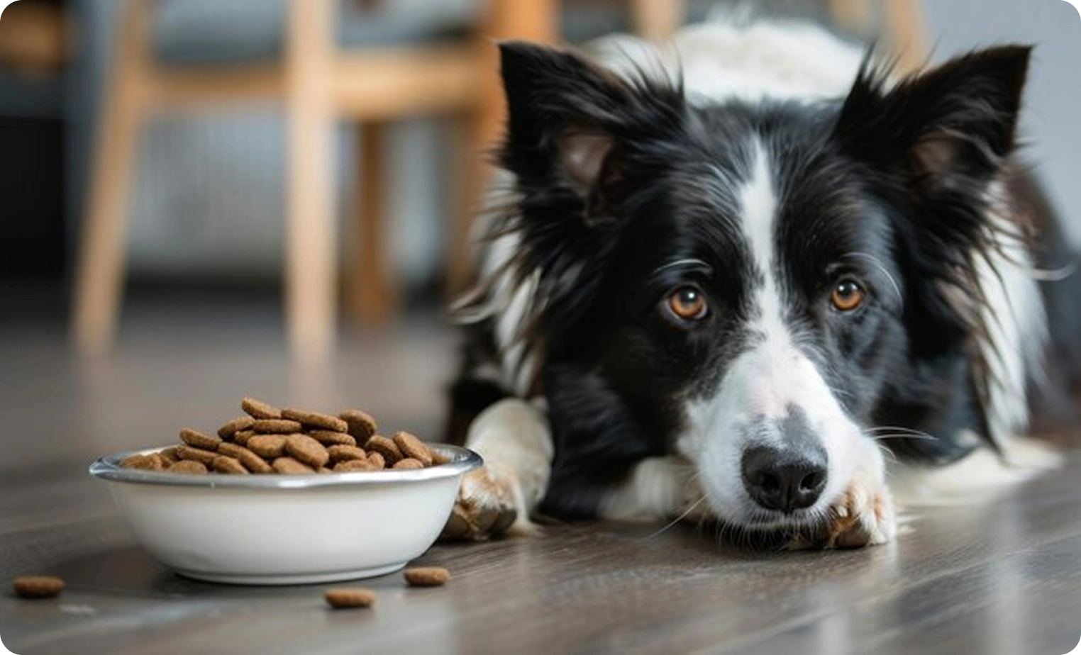 Food Allergies
