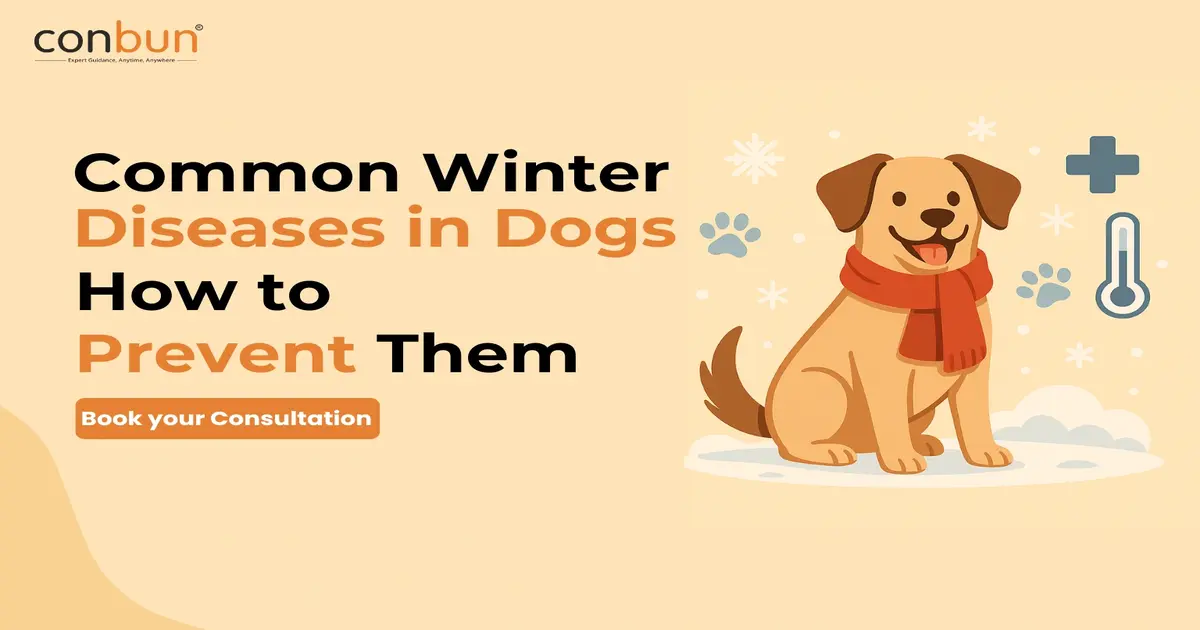 Common Winter Diseases in Dogs & How to Prevent Them