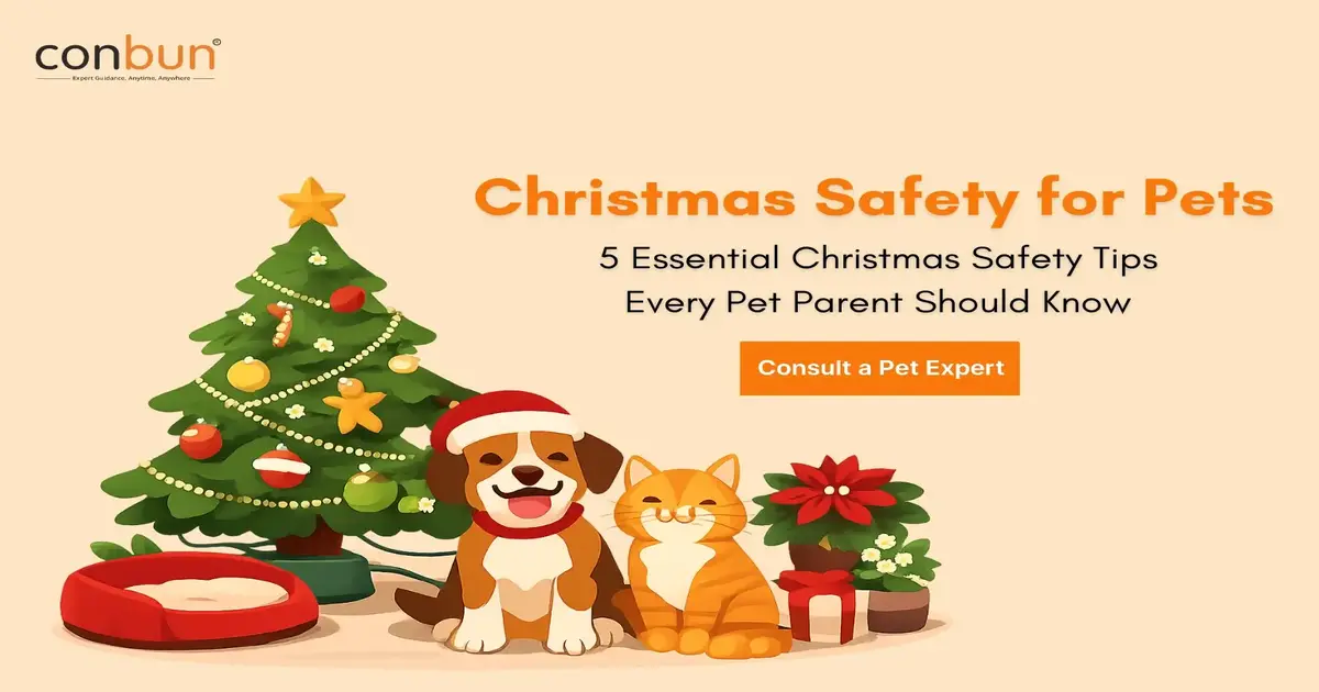 Christmas Safety for Pets: 5 Essential Christmas Safety Tips Every Pet Parent Should Know