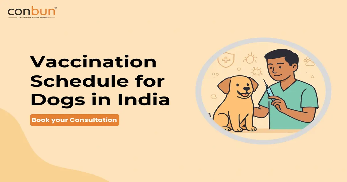 Vaccination Schedule for Dogs in India