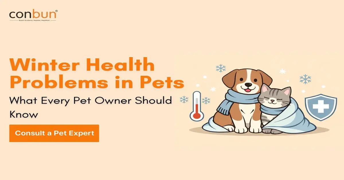 Winter Health Problems in Pets: What Every Pet Owner Should Know
