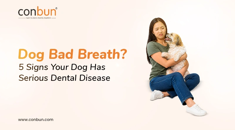 Dog Bad Breath: 5 Signs Your Dog Has Serious Dental Disease