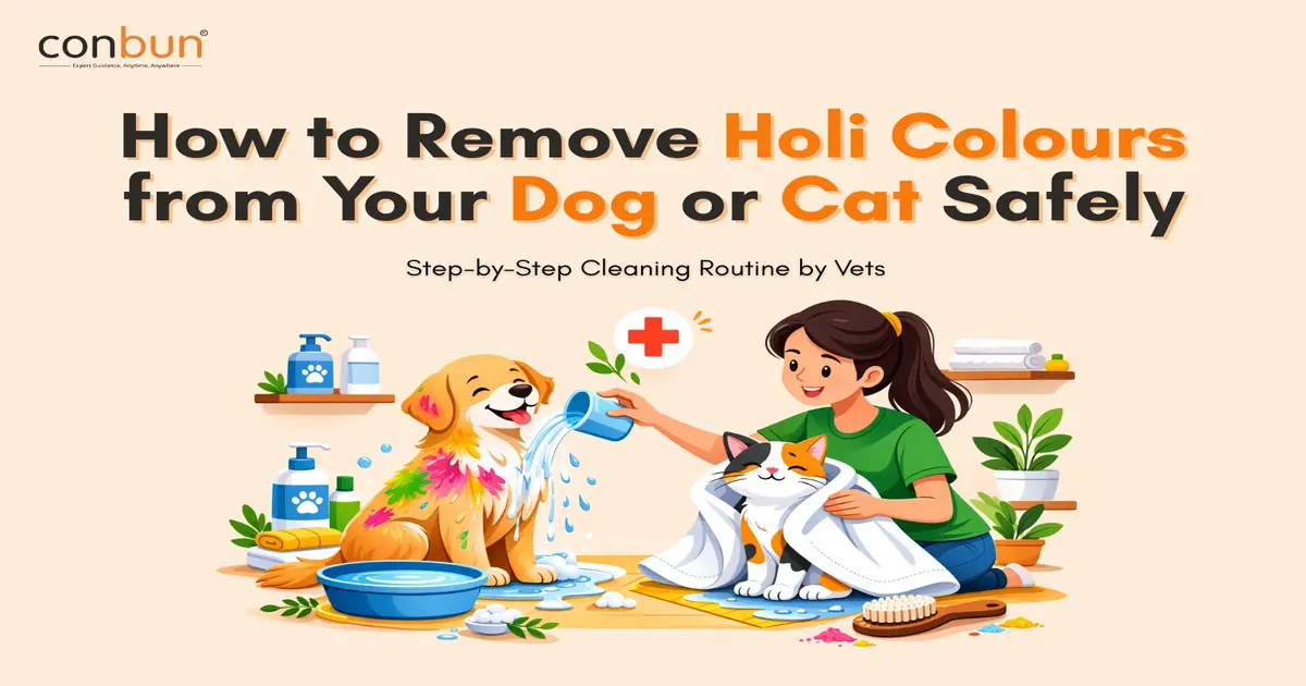 How to Remove Holi Colours from Pets Safely
