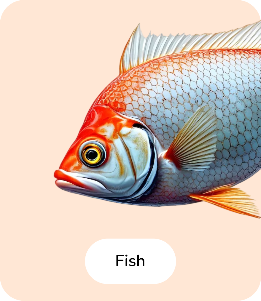 Fishs