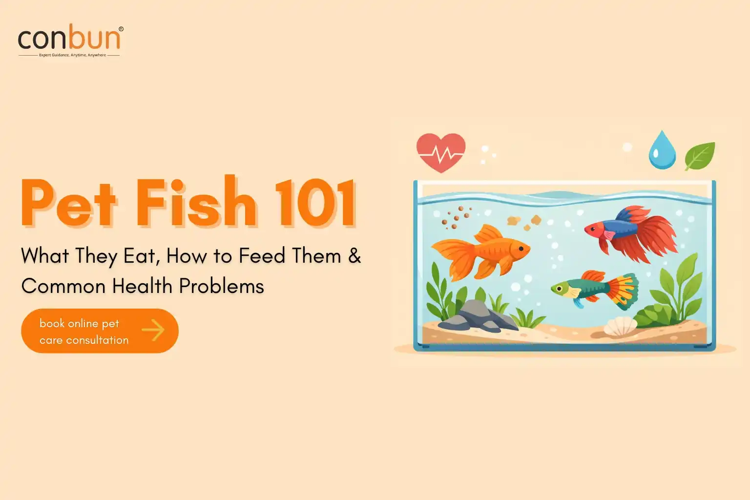 Pet Fish 101: What They Eat, How to Feed Them & Common Health Problems